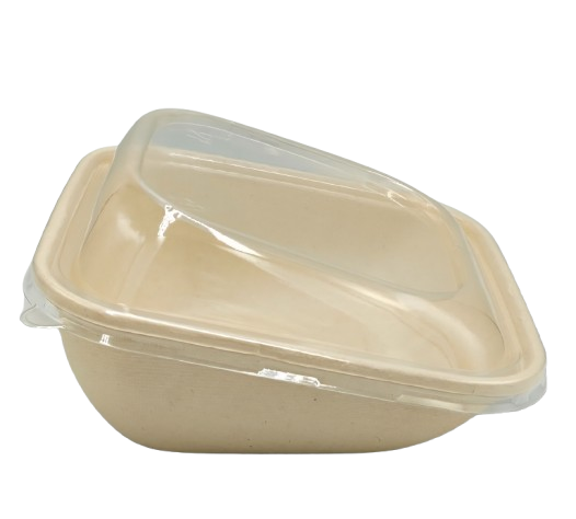 32oz Bagasse Obique Bowl + Pet Lid (300 Pcs)  