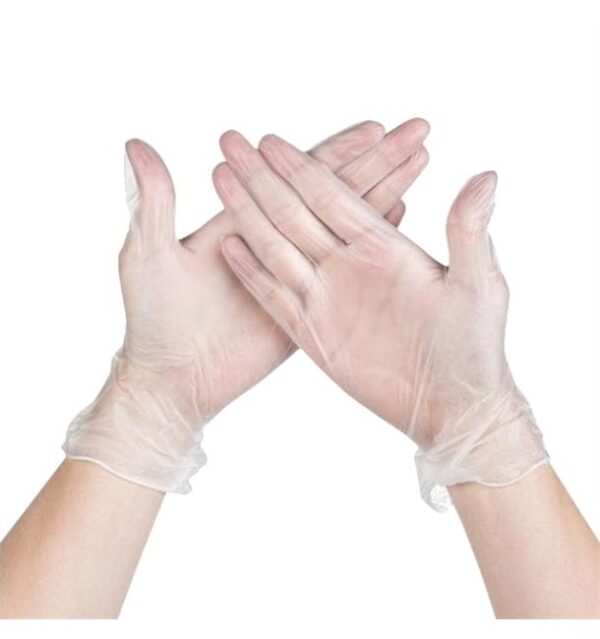 Vinyl Gloves Clear Powder Free XLarg- 1000PCS