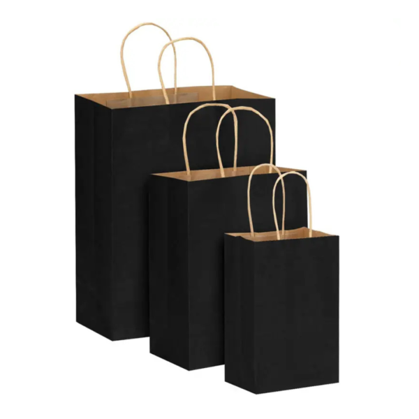 Black Paper Bag Twisted Handle - 250Pcs